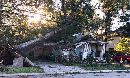 En Nueva Orleans, una persona murió electrocutada por la caída de líneas eléctricas en el barrio Gert Town de esa ciudad. En Nueva Orleans, una persona murió electrocutada por la caída de líneas eléctricas en el barrio Gert Town de esa ciudad.