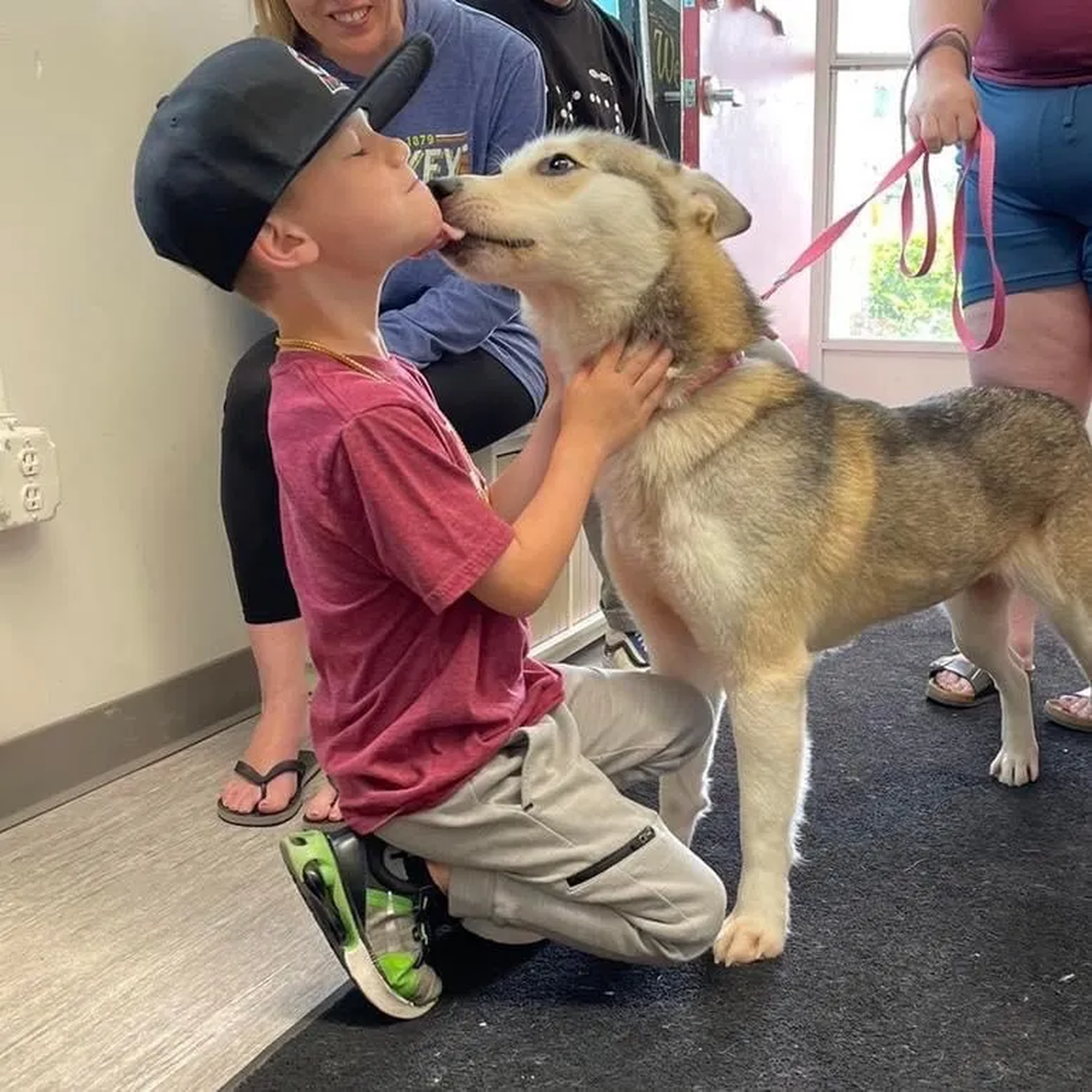 Henry, el pequeño de Estados Unidos, es amante de los animales y no dudó en donar su recaudación al refugio local.
