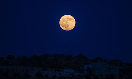 Luna Llena en Virgo Luna Llena en Virgo