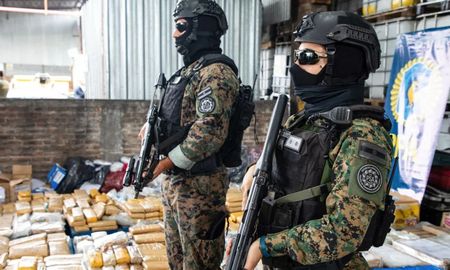 Quemaron 700 kilos de droga Quemaron 700 kilos de droga