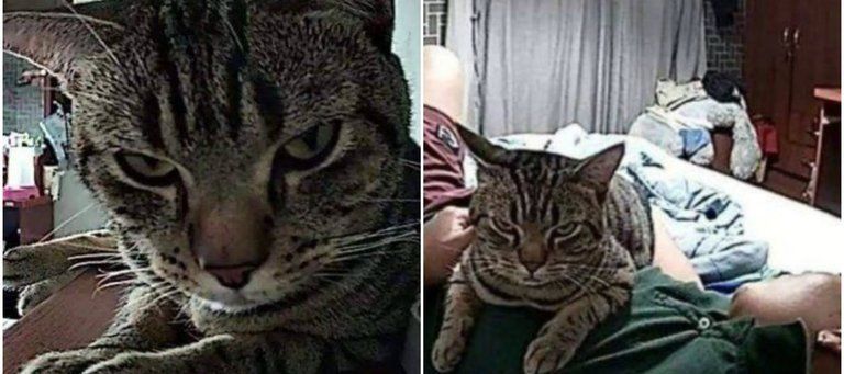 El hecho ocurrió en Bangkok, Tailandia.