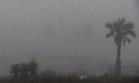 La visibilidad fue escasa debido a la densa niebla en el lugar. La visibilidad fue escasa debido a la densa niebla en el lugar.