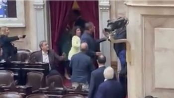 Oscar Zago y Lisandro Almirón se agarraron a piñas en medio de la sesión en Diputados