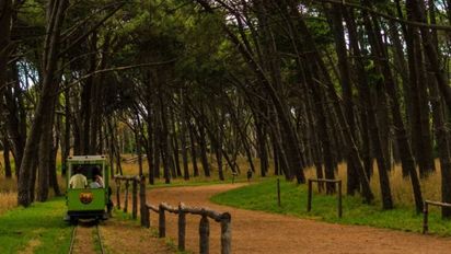 Escapada por Buenos Aires a bosques perfectos para disfrutar en familia cerca del mar y la ciudad