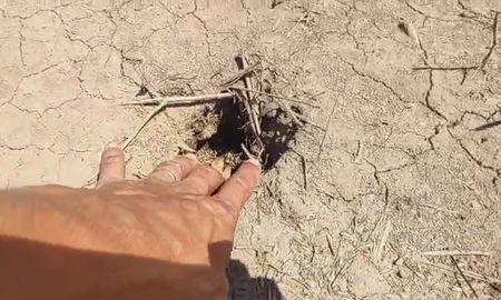 Donde salían las burbujas, quedaron los orificios y las huellas de las pisadas en el barro Donde salían las burbujas, quedaron los orificios y las huellas de las pisadas en el barro