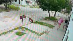 El hecho de violencia quedó registrado por una cámara de la zona.