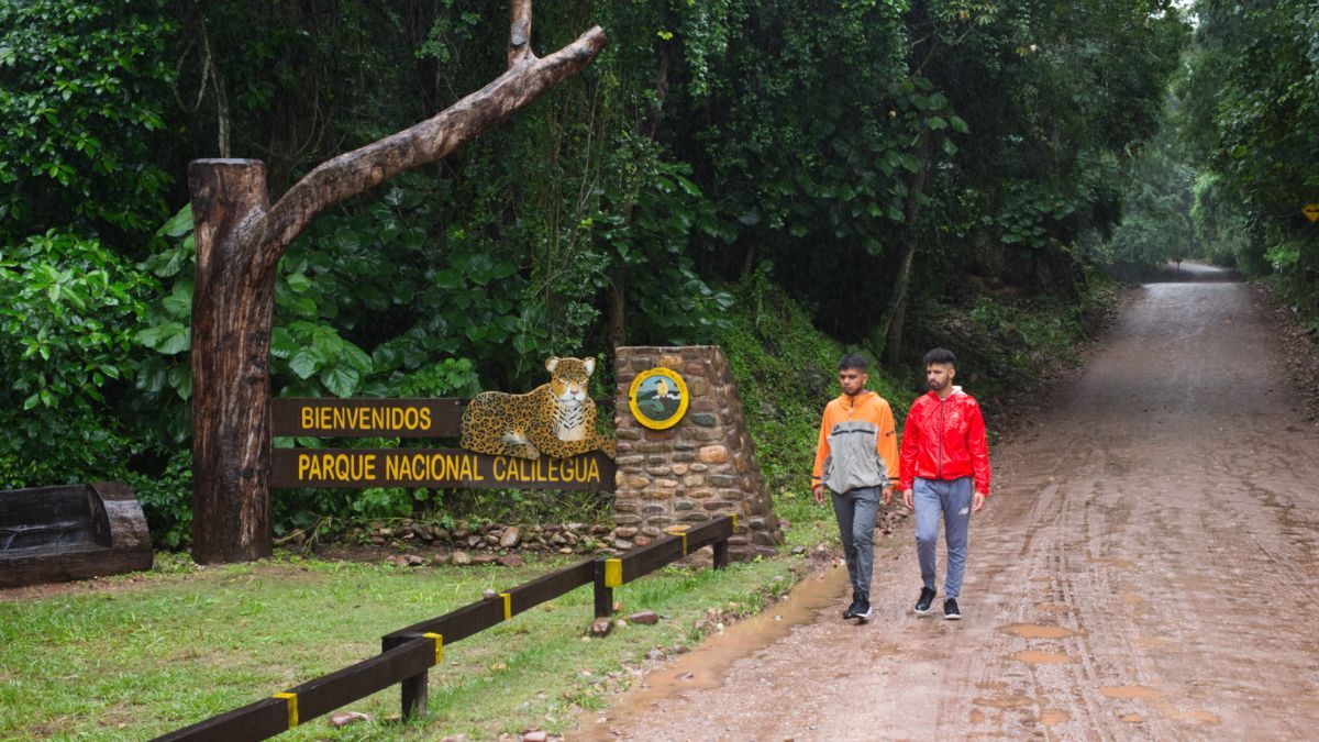 La causa por contaminación fue impulsada por un grupo de vecinos del Parque Nacional Calilegua. La causa por contaminación fue impulsada por un grupo de vecinos del Parque Nacional Calilegua.