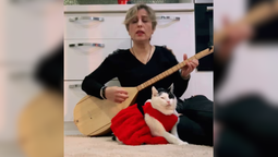 altText(La conmovedora historia que arrasa en TikTok: el gatito melómano que se curó con la música)}