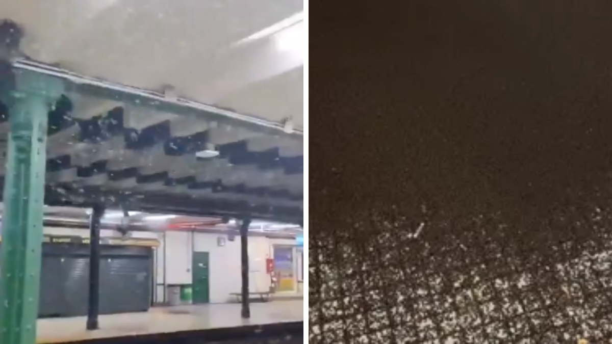 Una impactante invasión de bichos que obligó cerrar una estación de subte.