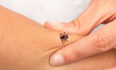 Al menos siete personas murieron en China por el virus de la garrapata. Al menos siete personas murieron en China por el virus de la garrapata.