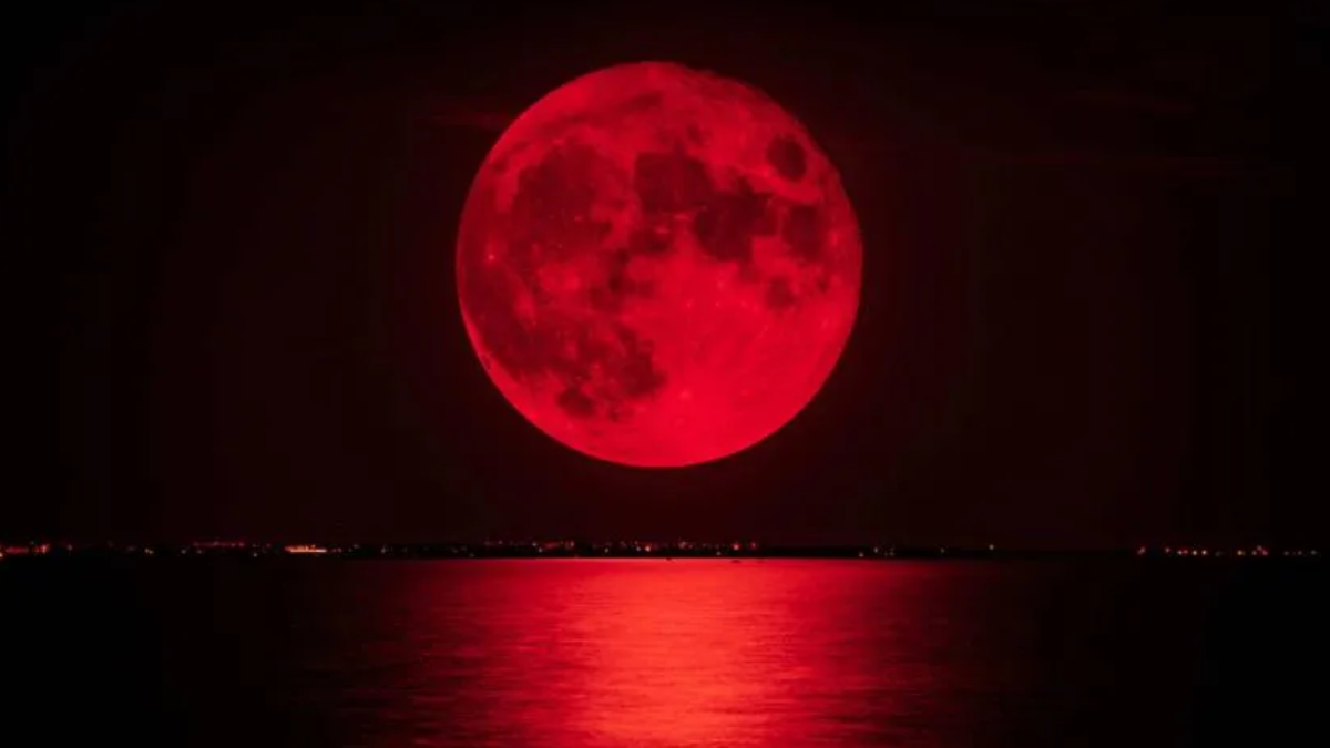 luna sangre como sera el fenomeno astronomico unico que se vera argentina