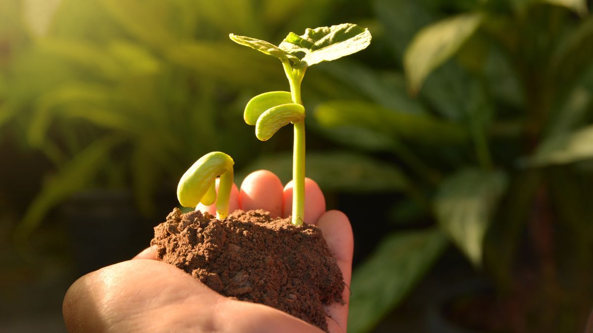 Reutilizar termos es una alternativa sustentable y creativa.