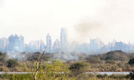 El 2021 ya es el segundo peor año en cuanto a los incendios en el Delta, por detrás del 2020. El 2021 ya es el segundo peor año en cuanto a los incendios en el Delta, por detrás del 2020.