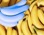 dieta de la banana matinal para perder 8 kilogramos al mes