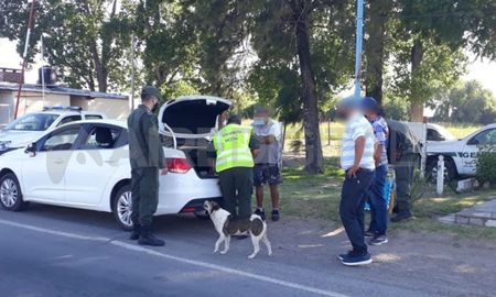 El cargamento fue advertido en un control apostado en la ruta 11 y el cruce con la 70. El cargamento fue advertido en un control apostado en la ruta 11 y el cruce con la 70.