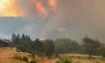 A un mes del inicio de los incendios, los brigadistas lograron controlar los focos. A un mes del inicio de los incendios, los brigadistas lograron controlar los focos.