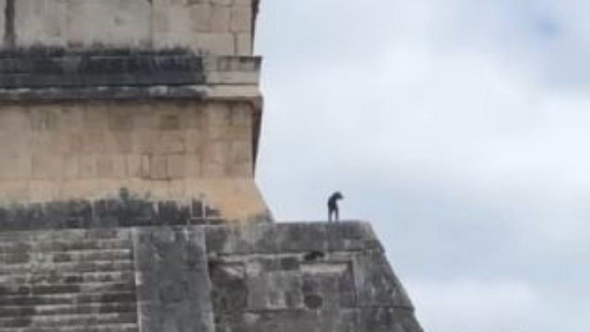 Un perro subió las escaleras del Chichén Itzá y contempló el paisaje desde la cima