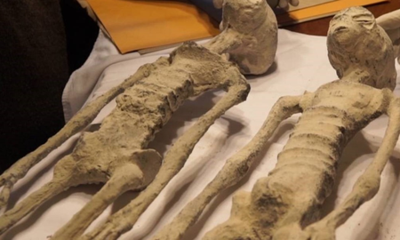 Las momias de Nazca. Las momias de Nazca.