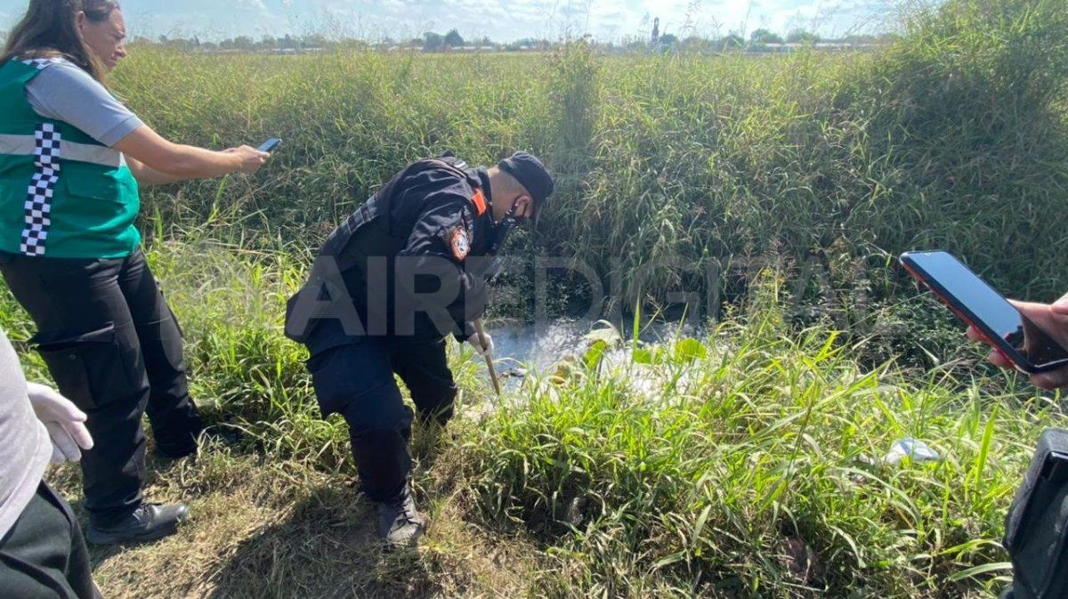 En ambos casos se descartó que se trate de animales domésticos como perros y gatos. Sin embargo, resta determinar el origen y el tipo de especie.