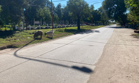 Los vecinos de General Paz reclaman por la falta de mantenimiento de las calles y la ausencia de iluminación. Los vecinos de General Paz reclaman por la falta de mantenimiento de las calles y la ausencia de iluminación.