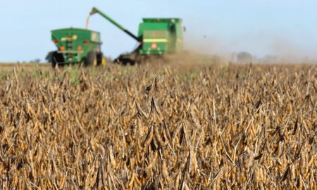 Pese a la baja de retenciones, los márgenes brutos estimados para los productores primarios del centro-norte de Santa Fe continúan siendo ajustados Pese a la baja de retenciones, los márgenes brutos estimados para los productores primarios del centro-norte de Santa Fe continúan siendo ajustados