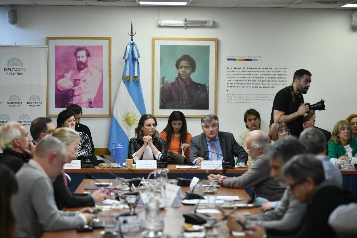 La reunión de la comisión de Legislación del Trabajo contó con la exposición de varios actores. La reunión de la comisión de Legislación del Trabajo contó con la exposición de varios actores.