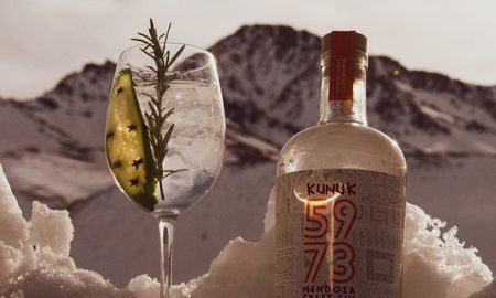 un gin mendocino entre los mejores del mundo un gin mendocino entre los mejores del mundo