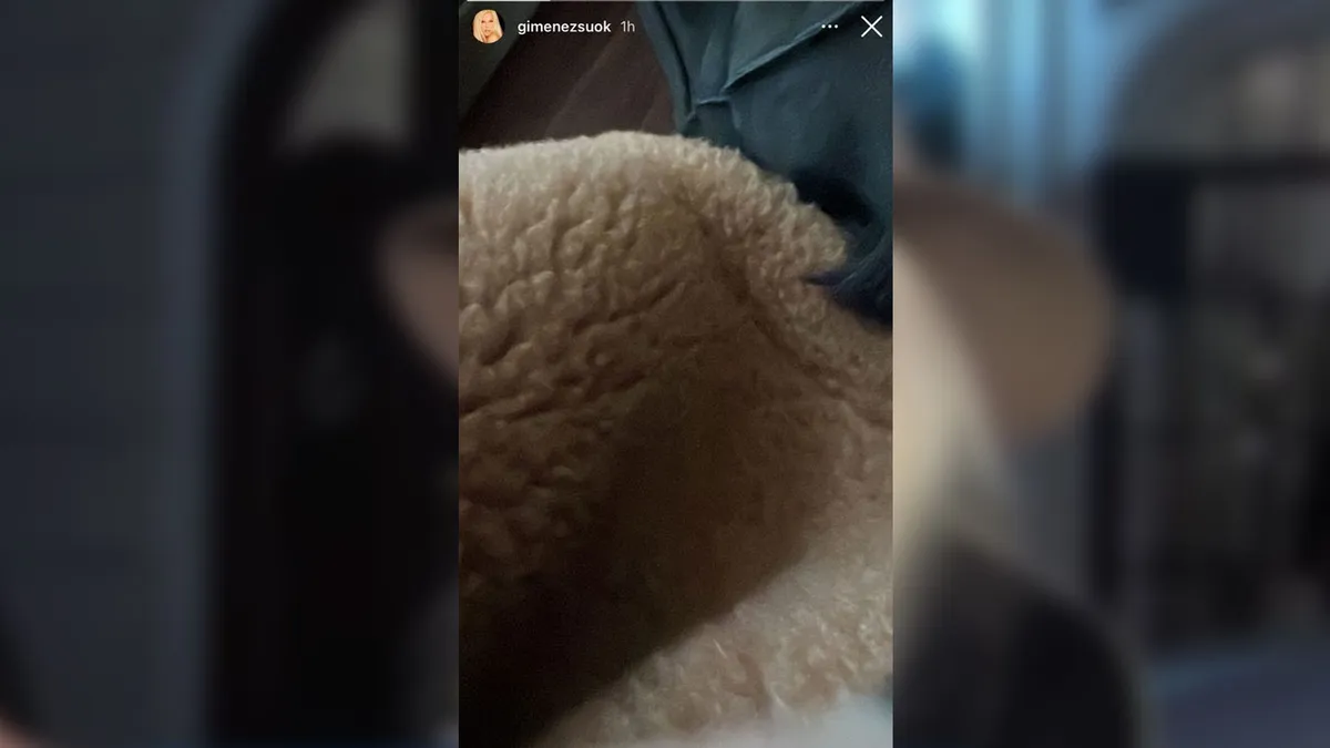 El nuevo descuido de Susana Giménez en redes.