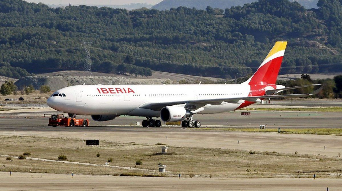 Un buitre abrió un agujero en un avión comercial antes de aterrizar en Barajas