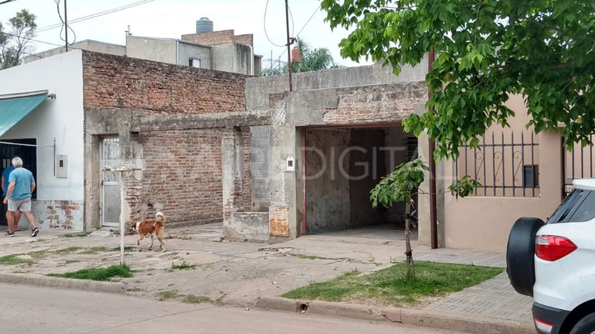 Pedro Ferré al 1200. Los dueños de casa encontraron el animal exótico dentro de su dormitorio.