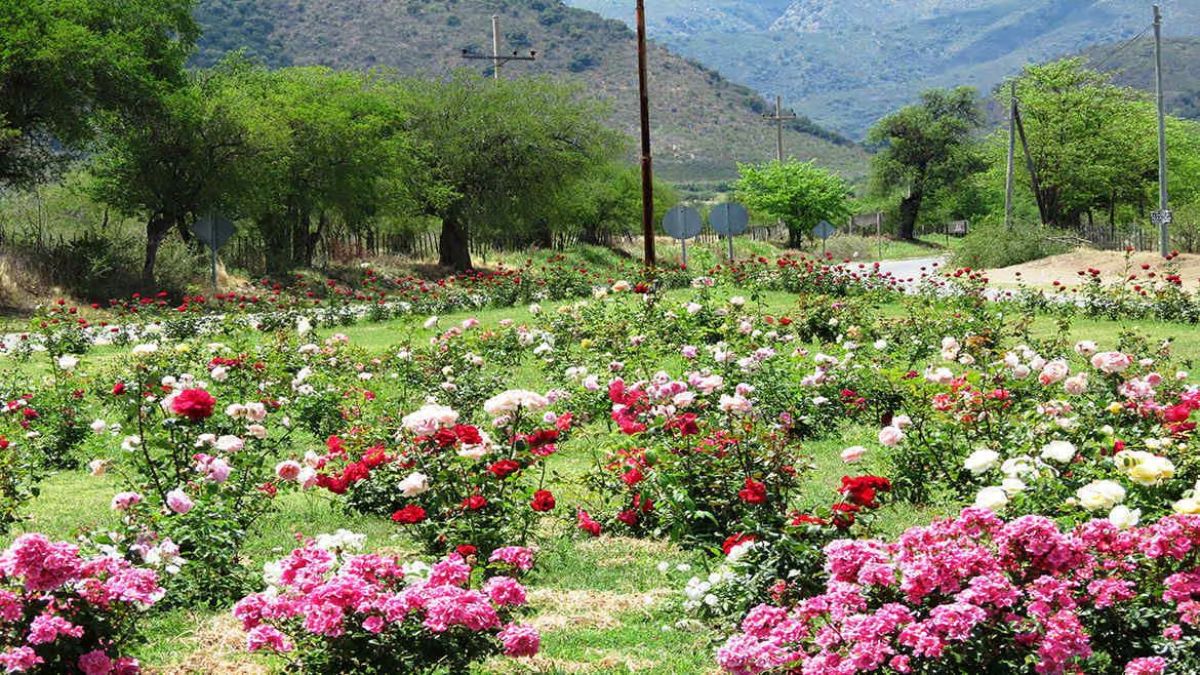 Escapada a un pequeño pueblo de Córdoba rodeado de rosas y paisajes únicos para estas vacaciones.