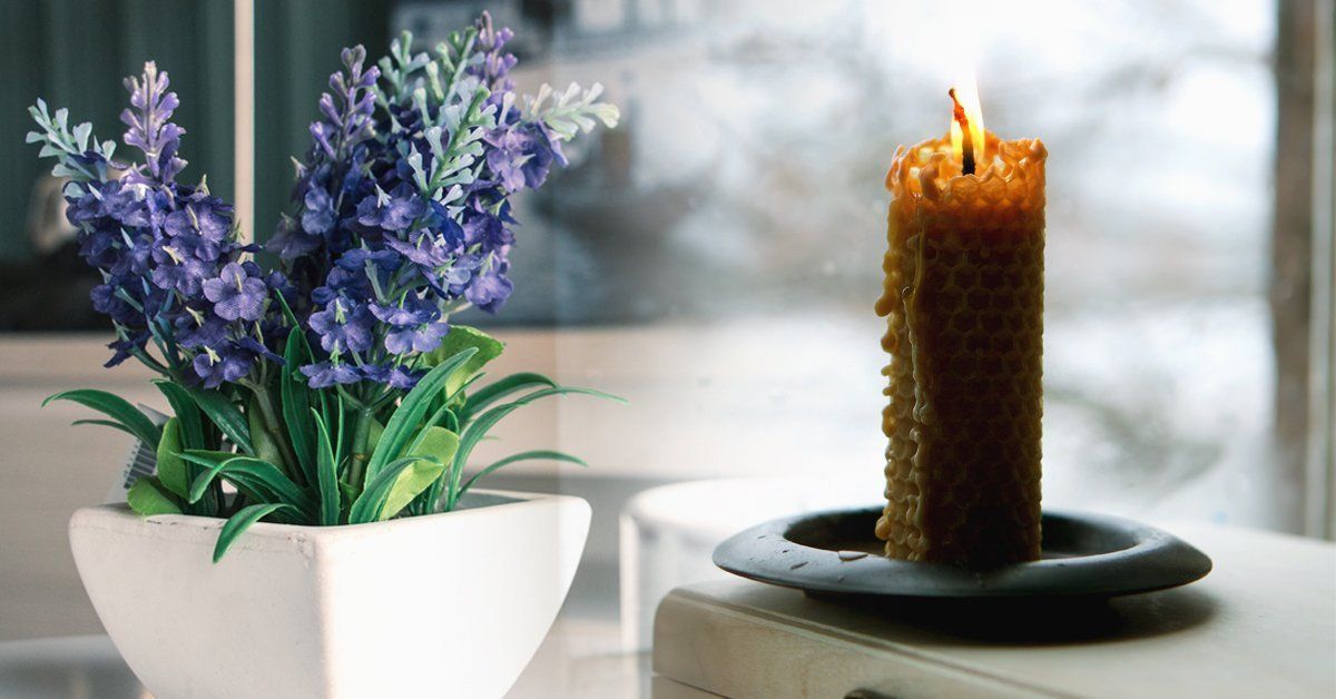 5 formas de limpiar el aire de tu hogar de manera natural