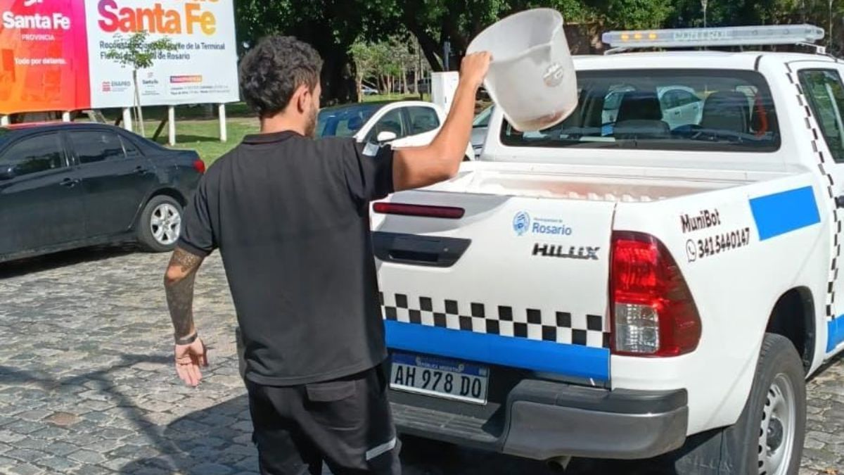 El operativo también incluyó la regulación de venta ambulante. El operativo también incluyó la regulación de venta ambulante.