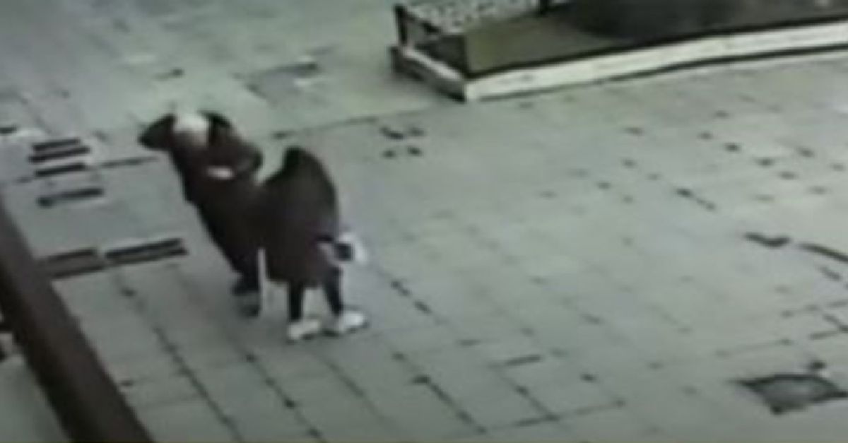 Guillermo Coppola recibió un palazo en la cabeza mientras se tomaba una selfie con una fan