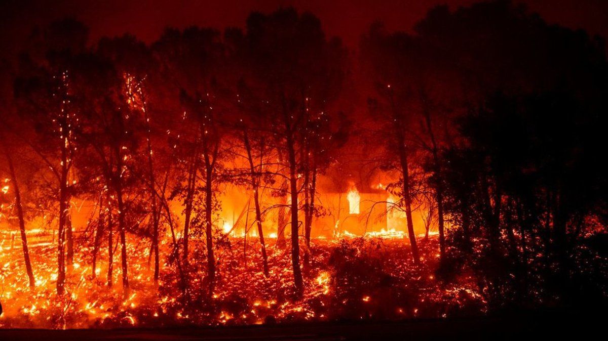 Donald Trump&nbsp;aprobó una&nbsp;declaración de “desastre mayor”&nbsp;por incendios forestales en&nbsp;California y ordenó el envío de ayuda.