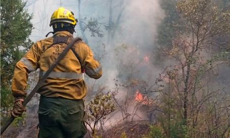 Brigadistas del SPLIF, junto a múltiples instituciones provinciales, municipales y vecinos, continúan con un esfuerzo incansable para frenar el avance del fuego. Brigadistas del SPLIF, junto a múltiples instituciones provinciales, municipales y vecinos, continúan con un esfuerzo incansable para frenar el avance del fuego.