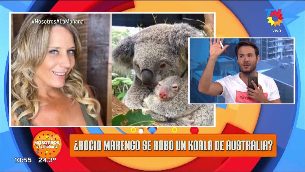 La polémica de Rocío Marengo y el supuesto robo de un Koala de Australia