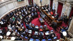 En medio de una fuerte expectativa del Gobierno nacional, el Senado convirtió este jueves en ley el proyecto que ratifica el acuerdo comercial entre el Mercosur y la Unión Europea.