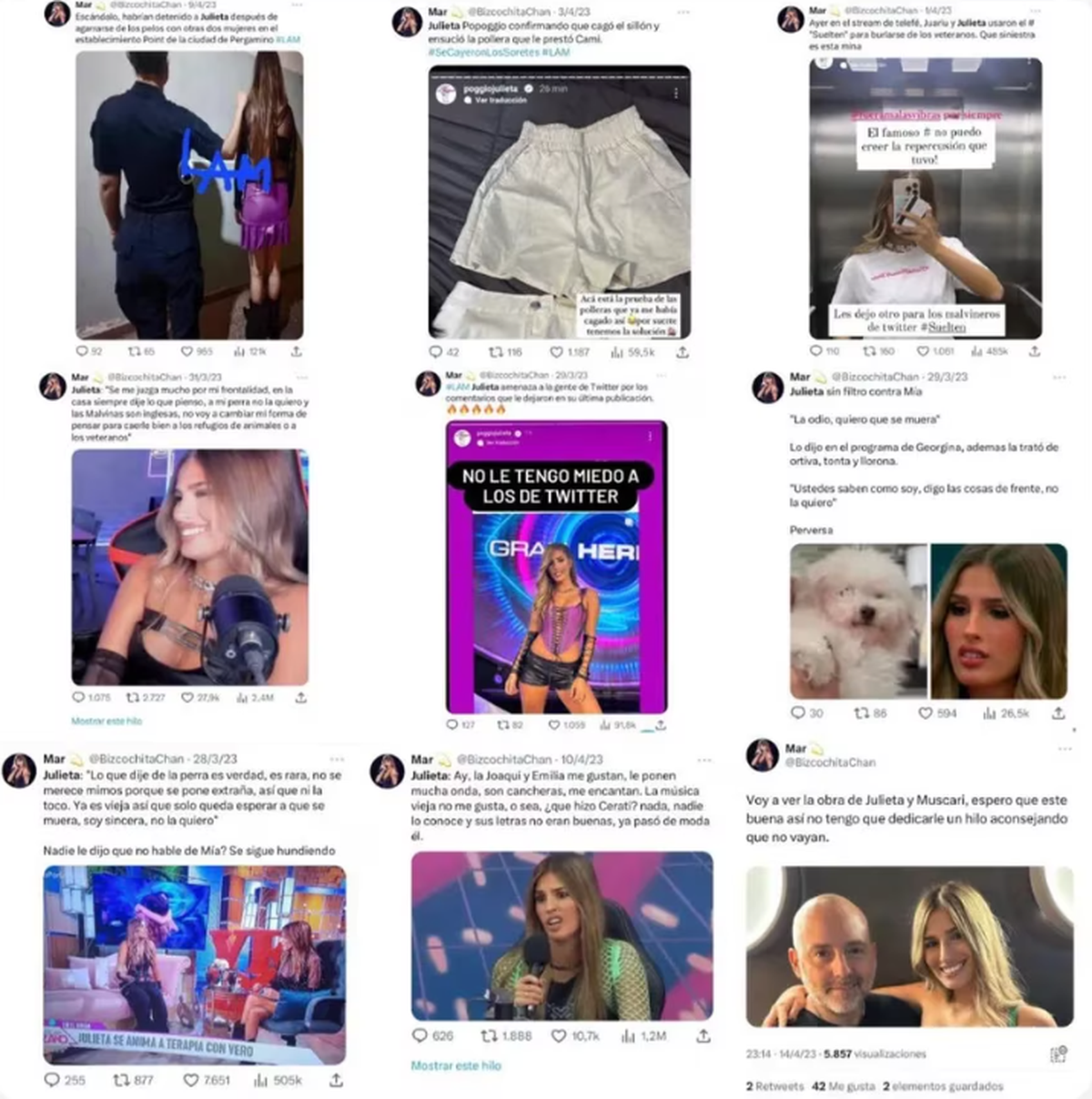 Julieta Poggio mostró los posteos de la cuenta que realiza fake news de ella.