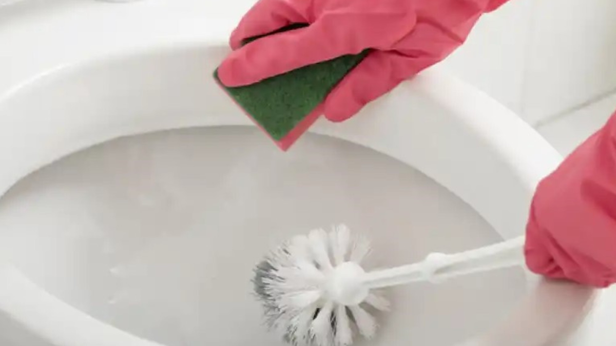 Por qué recomiendan tirar sal en el inodoro del baño por las noches. Por qué recomiendan tirar sal en el inodoro del baño por las noches.