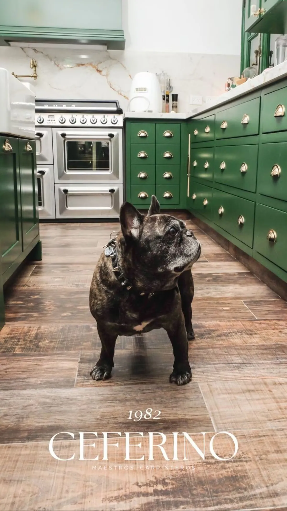 La casa de la China Suárez se destaca por sus colores.