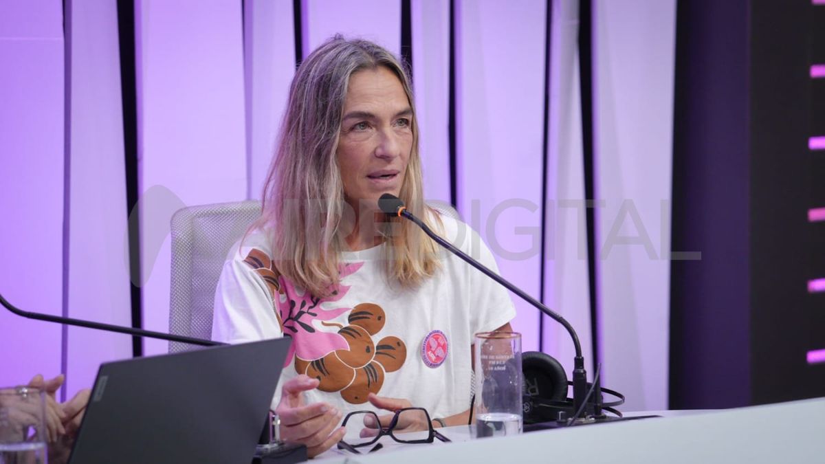 Stella Brieva, reconocida artista plástica de Santa Fe. Stella Brieva, reconocida artista plástica de Santa Fe.