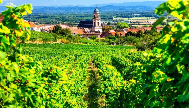 Riquewihr, pueblo situado en Alsacia.