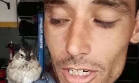 el pajarito cordobes que reparte soda y es furor en las redes el pajarito cordobes que reparte soda y es furor en las redes