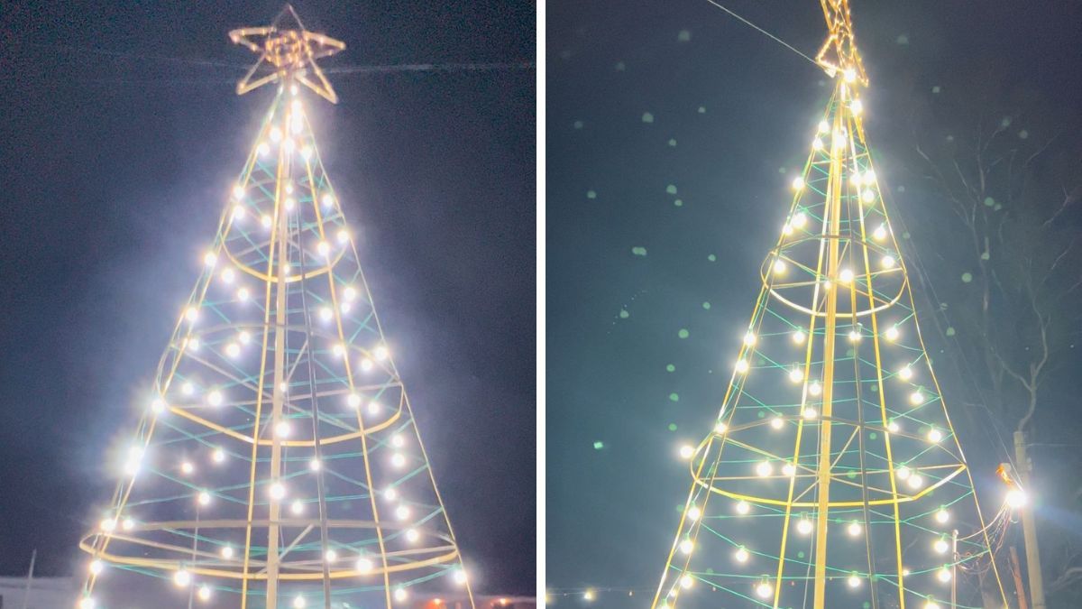 Árbol de navidad de Sauce Viejo, frente al Museo Monte de Los Padres. Árbol de navidad de Sauce Viejo, frente al Museo Monte de Los Padres.