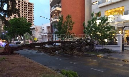Una importante cantidad de ramas y árboles impactaron sobre redes de media y baja tensión en distintas zonas lo que provocó cortes de cables. Una importante cantidad de ramas y árboles impactaron sobre redes de media y baja tensión en distintas zonas lo que provocó cortes de cables.