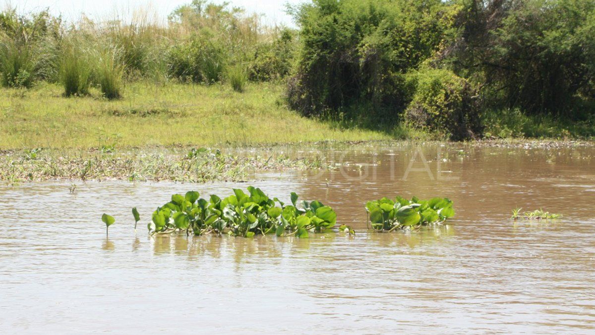 Jaaukanig&aacute;s es un humedal que ocupa un &aacute;rea de m&aacute;s de 420.000 hect&aacute;reas. Es el hogar de una rica biodiversidad y tiene un enorme potencial para el turismo sustentable.&nbsp;