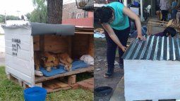Conocé a los santafesinos que hacen cuchas para perros de la calle Conocé a los santafesinos que hacen cuchas para perros de la calle