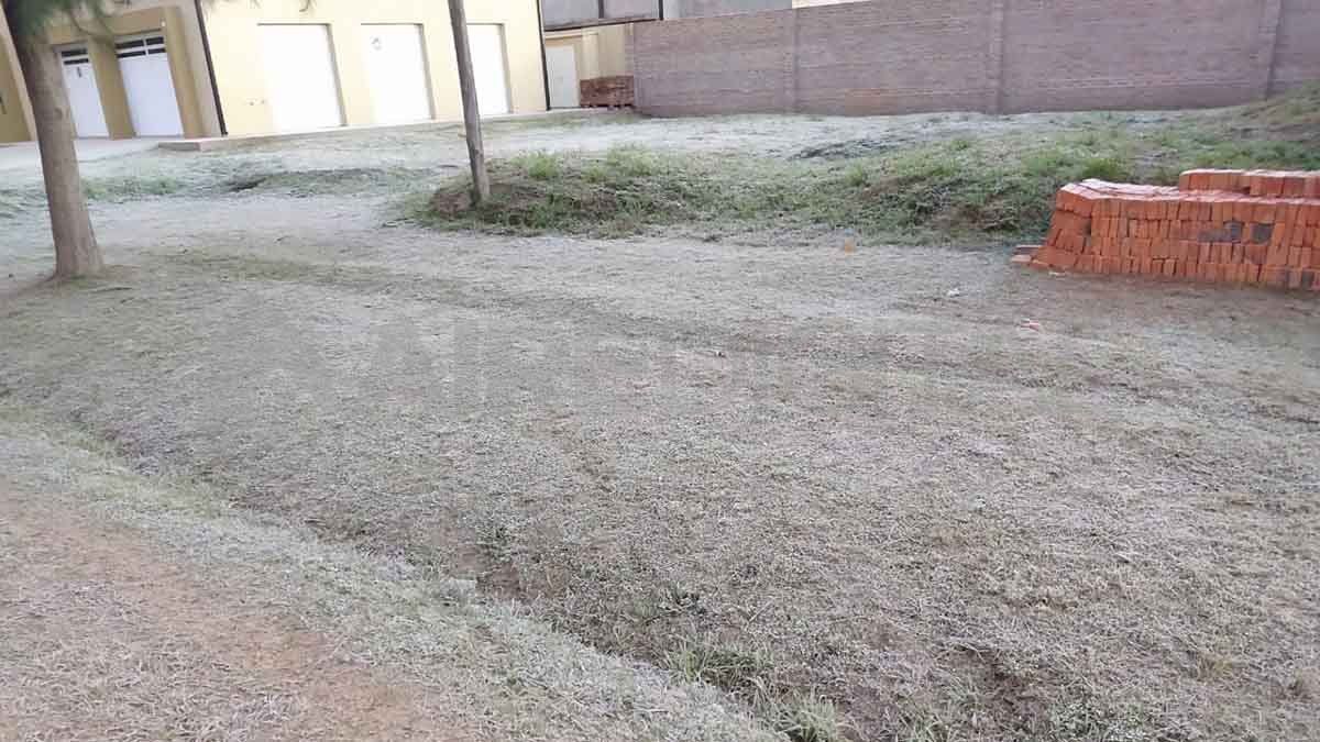 La helada de este martes en Monte Vera.