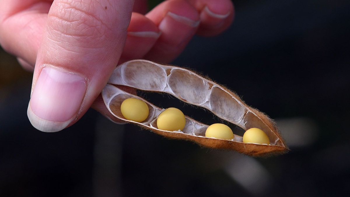 El evento se realizar&aacute; entre el 4 y el 7 de abril de 2027 en la Bolsa de Comercio de Rosario, con un programa que incluir&aacute; visitas a campo y a complejos agroindustriales de la regi&oacute;n. La presentaci&oacute;n se dio en el stand que la provincia tiene en la muestra Expoagro 2026.